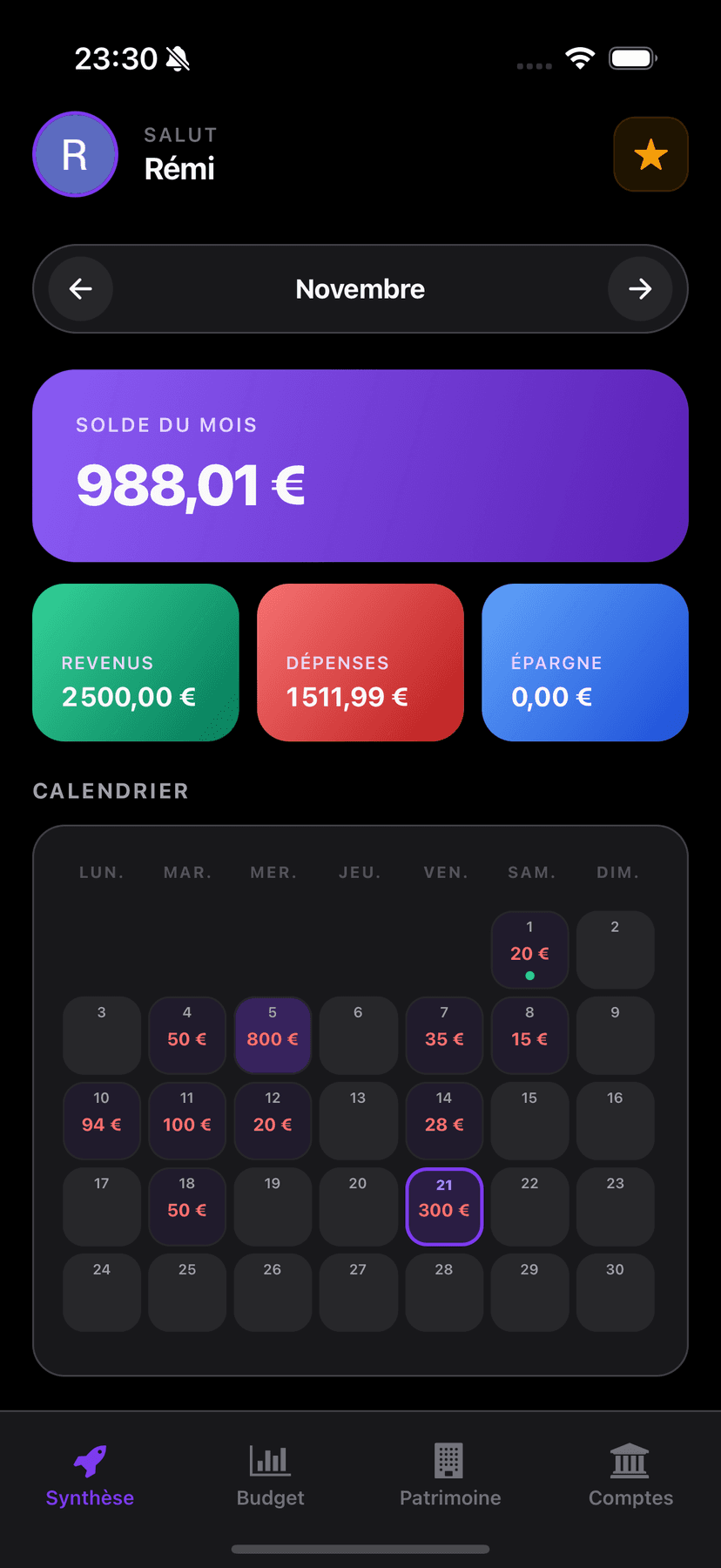 Analyse financière et suivi des dépenses - Application Budget Trya